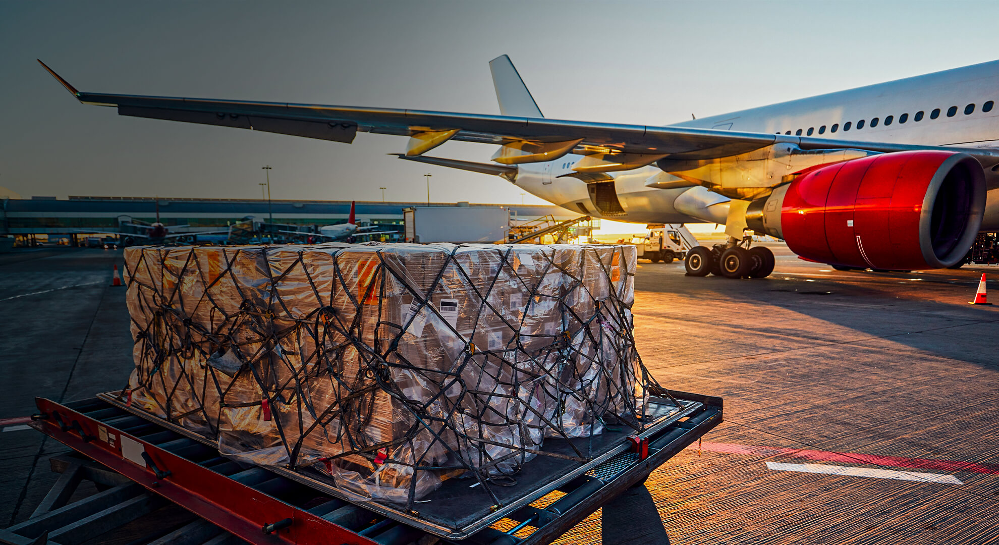 Air Freight Executive Job Description Malaysia